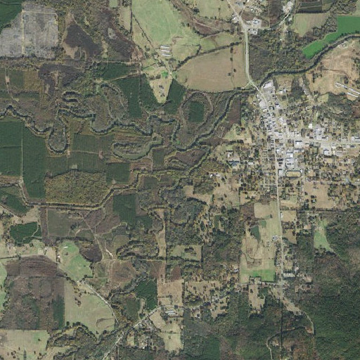 Aerial imagery of Bailey Branch, AR