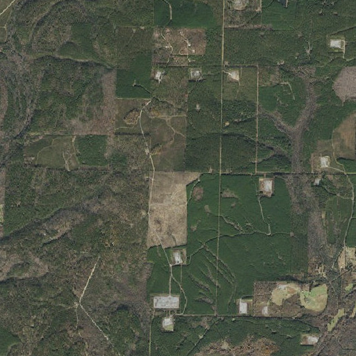 Aerial imagery of Bass Mountain, AR
