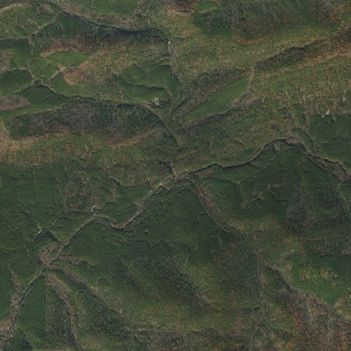 Aerial imagery of Bear Creek, AR