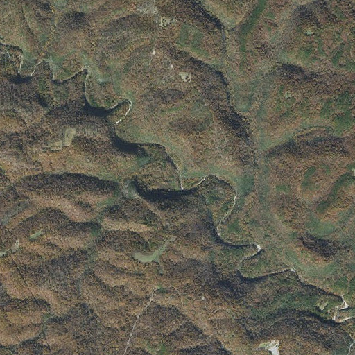 Aerial imagery of Bee Branch, AR