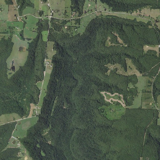 Aerial imagery of Bee Branch, AR