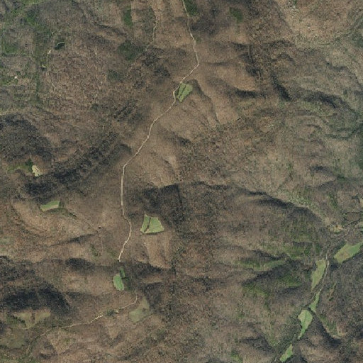 Aerial imagery of Big Bench, AR
