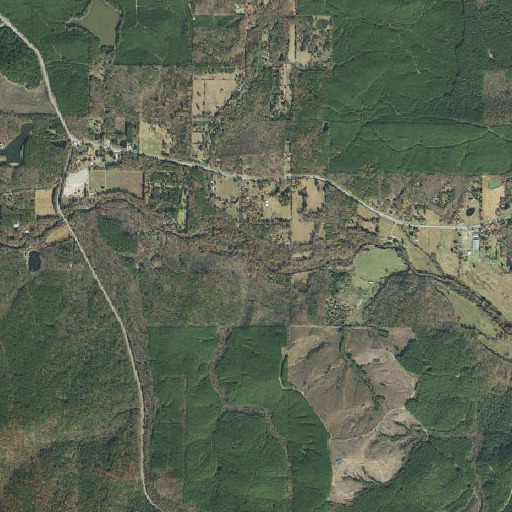 Aerial imagery of Big Branch, AR