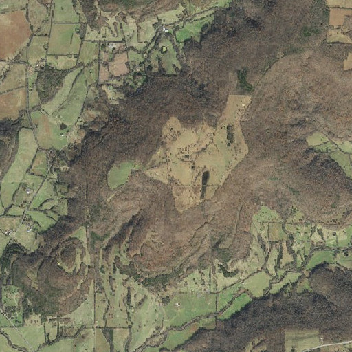 Aerial imagery of Blue Mountain, AR