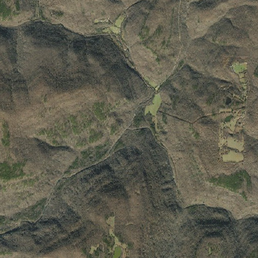 Aerial imagery of Buck Branch, AR
