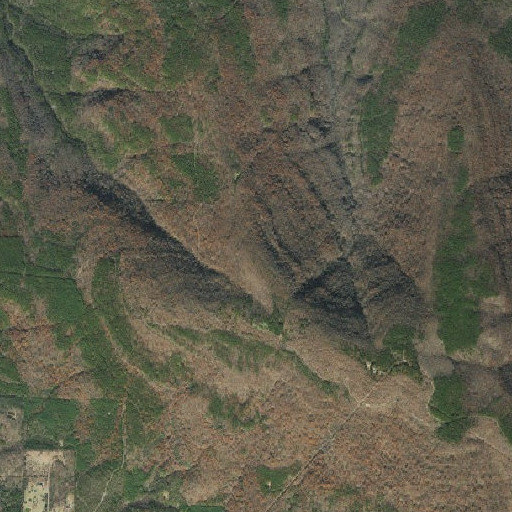 Aerial imagery of Buckeye Mountain, AR