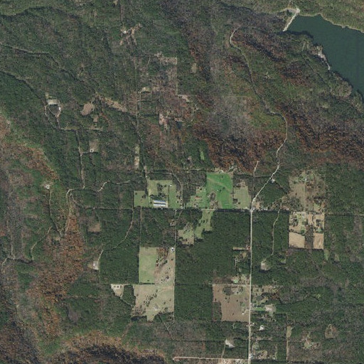 Aerial imagery of Burnett Spring, AR