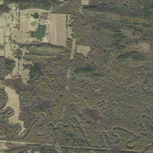 Aerial imagery of Cape Slough, AR