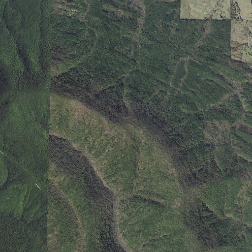 Aerial imagery of Cedar Mountain, AR