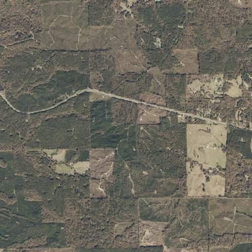 Aerial imagery of Peyton Lookout Tower, MS