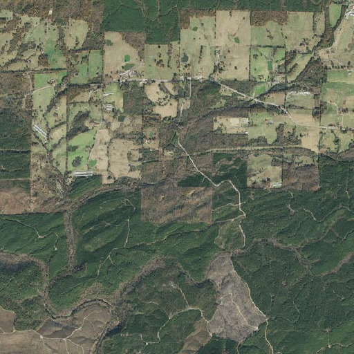 Aerial imagery of Cowlick Branch, AR