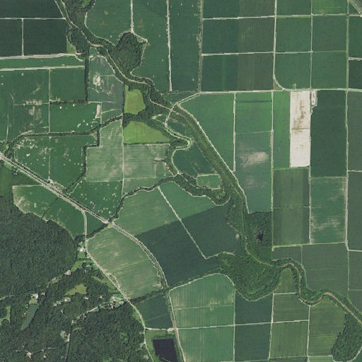 Aerial imagery of Beech Grove Branch, MO