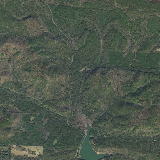 Aerial imagery of Dooley Branch, AR
