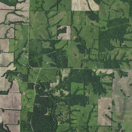 Aerial imagery of Blackoak School, MO