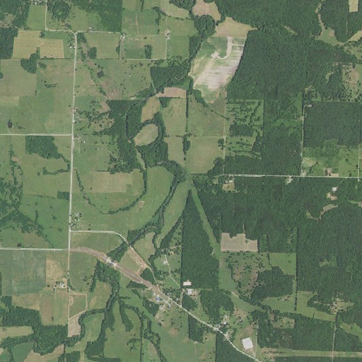 Aerial imagery of Blue Branch, MO