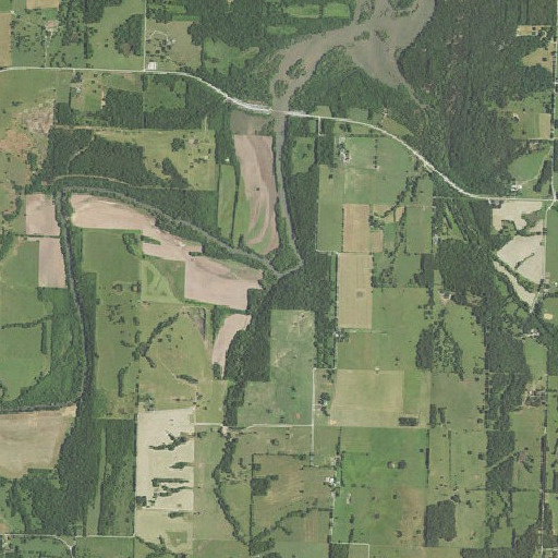 Aerial imagery of Boggy Branch, MO
