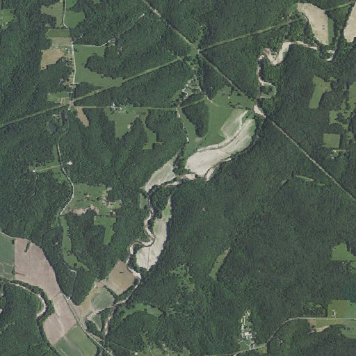 Aerial imagery of Booth Branch, MO