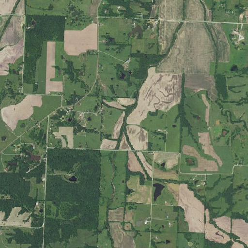 Aerial imagery of Brawley Creek, MO