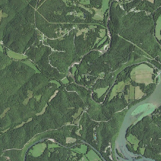 Aerial imagery of Broadus Branch, MO