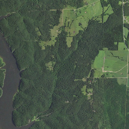 Aerial imagery of Brown Branch, MO