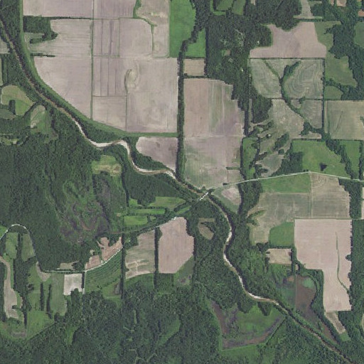 Aerial imagery of Buck Branch, MO