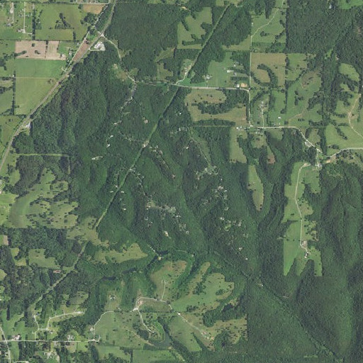 Aerial imagery of Bud Spring, MO
