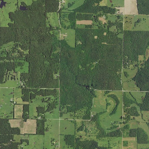 Aerial imagery of Bussell Branch, MO