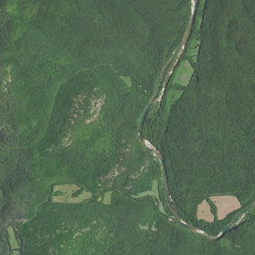 Aerial imagery of Buttin Rock, MO