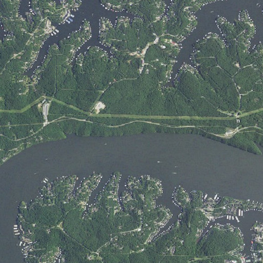 Aerial imagery of Carrot Bluff, MO