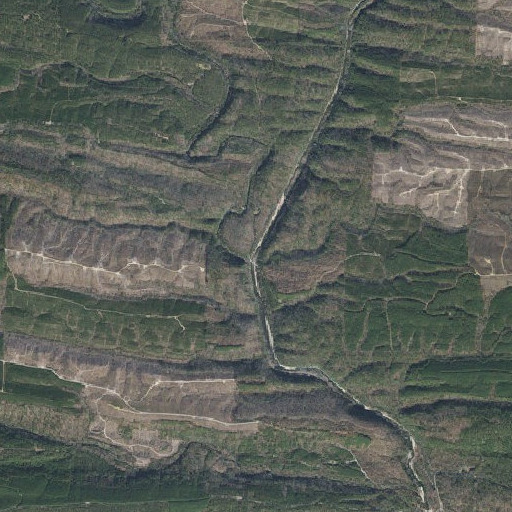 Aerial imagery of Flat Creek, AR
