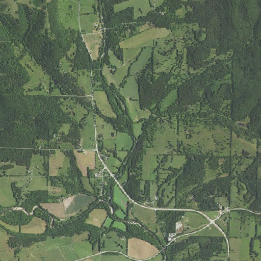 Aerial imagery of Coon Creek, MO