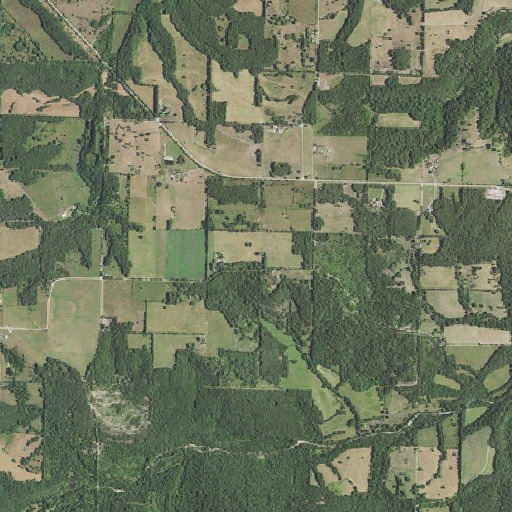 Aerial imagery of Cope School, MO