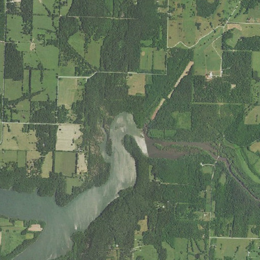 Aerial imagery of Corry Branch, MO
