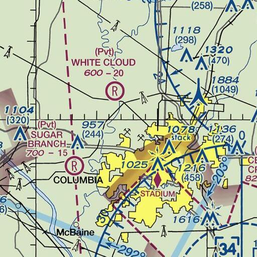 FAA VFR chart of Cow Branch, MO