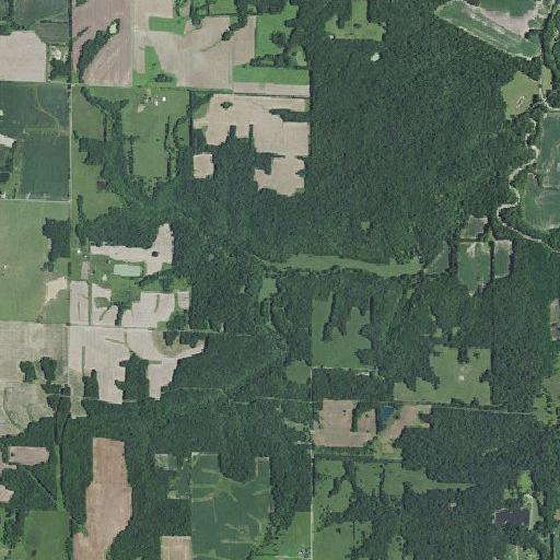 Aerial imagery of Crigler Branch, MO