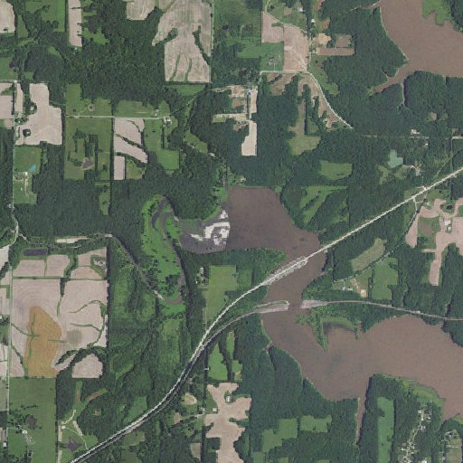 Aerial imagery of Dales Branch, MO