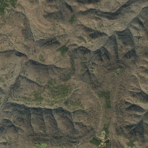 Aerial imagery of Freeman Knob, AR