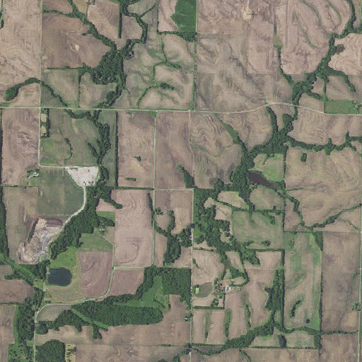 Aerial imagery of Elkhorn School, MO
