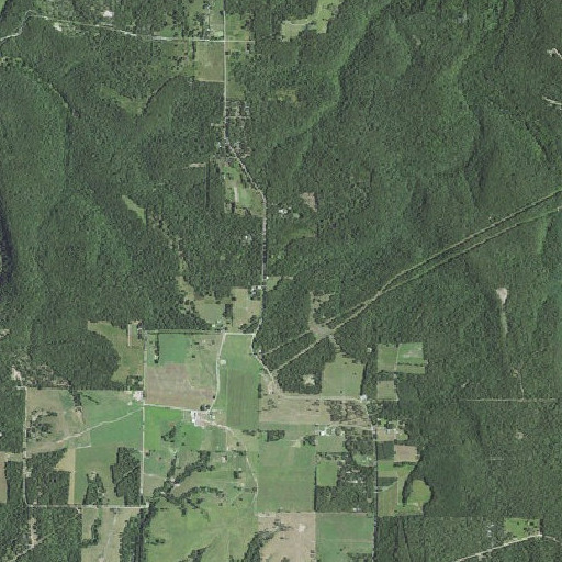 Aerial imagery of Flatwoods School, MO