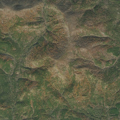 Aerial imagery of Grapevine Mountain, AR