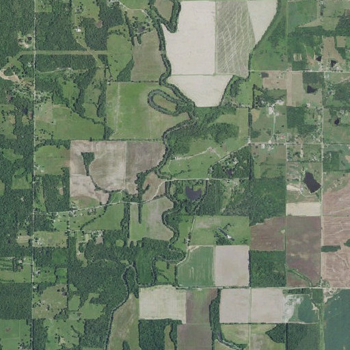 Aerial imagery of Fox Branch, MO