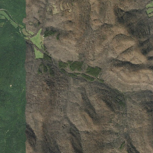 Aerial imagery of Gregory Branch, AR