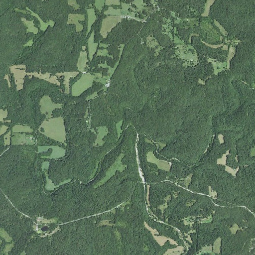 Aerial imagery of Gladden Branch, MO