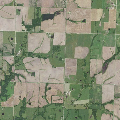 Aerial imagery of Graves Mound, MO