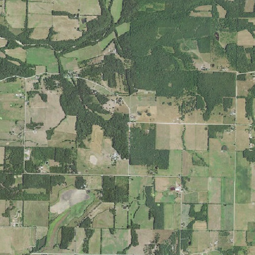 Aerial imagery of Graves School, MO