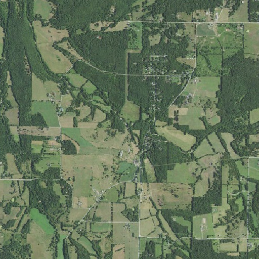 Aerial imagery of Jarrett Branch, MO