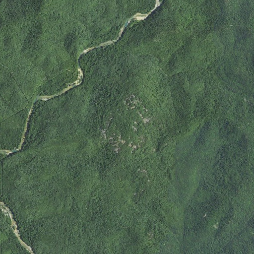 Aerial imagery of Jerktail Mountain, MO