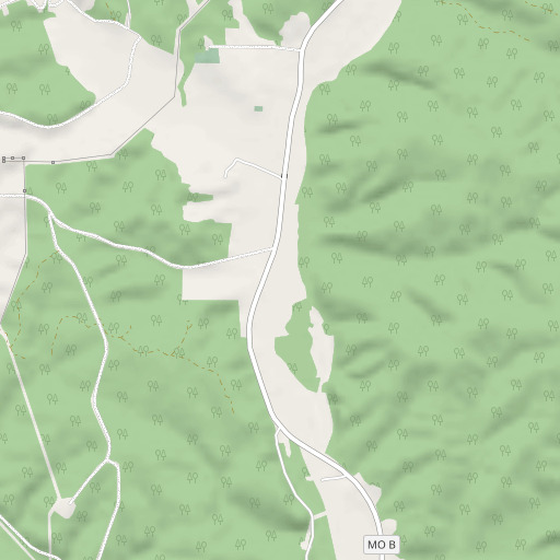 OpenStreetMap map of Joe Beck Spring, MO