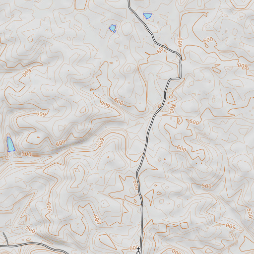 OpenTopoMap map of Johns Branch, MO