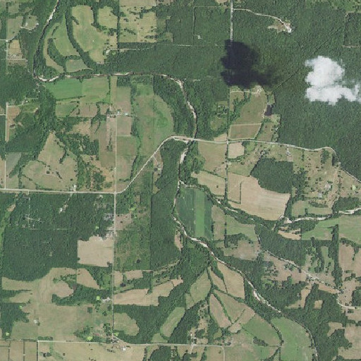 Aerial imagery of Jones Creek, MO